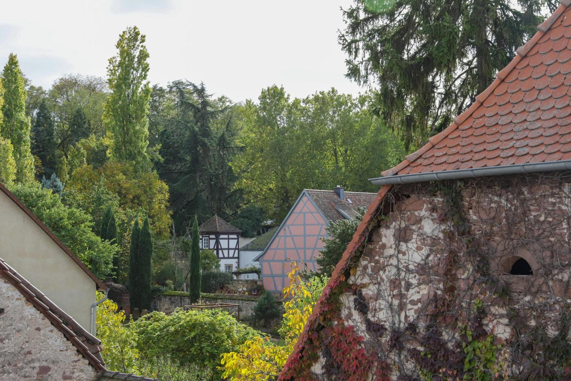 Boutique-Hotel Im Sternenhof Grosskarlbach Exterior foto